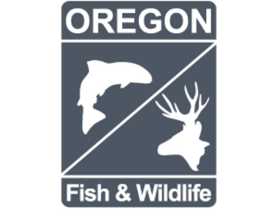 Learn to fish  Oregon Department of Fish & Wildlife